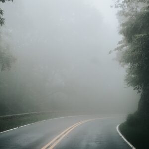 Foggy Road